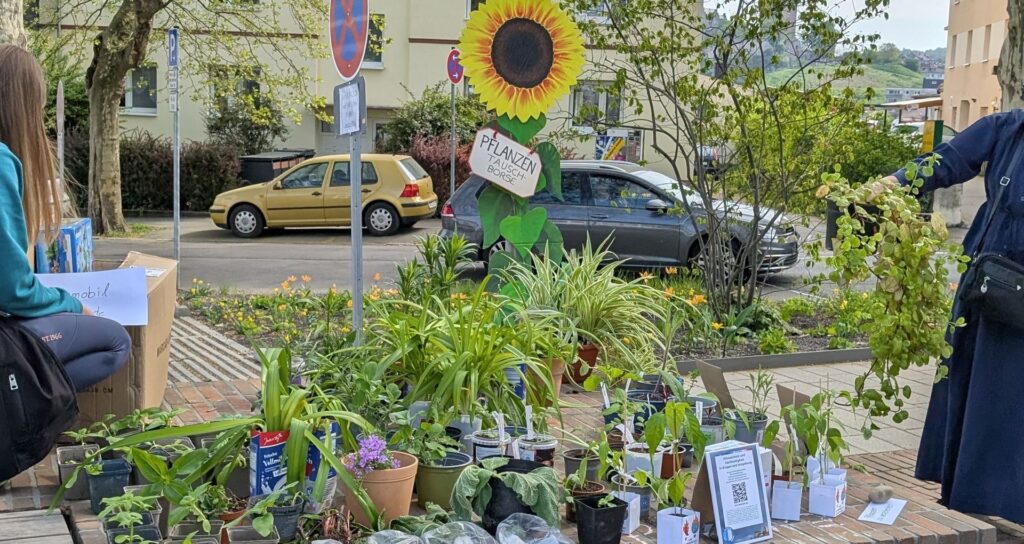 Verschiedene Pflanzen stehen auf einem Stück breiter Mauer, am Bildrand Leute, die die Pflanzen begutachten, im Hintergrund eine große Papp-Sonnenblume mit dem Schild "Pflanzentauschbörse", Bäume und parkende Autos.